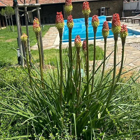 Casa de hóspedes Chez Le Colonel Pool House