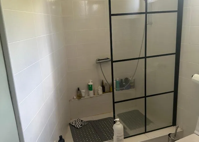 Pensiune Chez Le Colonel Pool House Dobromirka