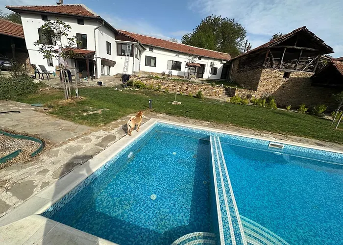 Chez Le Colonel Pool House Pensiune