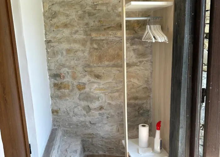 Chez Le Colonel Pool House Pensiune