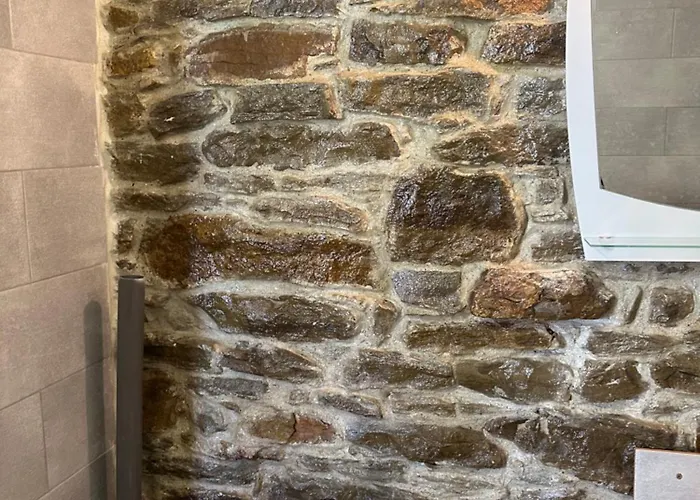 Pensiune Chez Le Colonel Pool House *